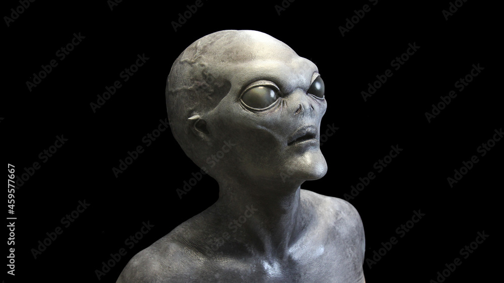 Grey Alien staring from darkness #2 Grey Alien staring from darkness #2