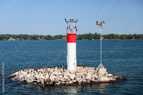 Birds gathered on a small island with a lighthouse off Gananoque on the St Lawrence River photo