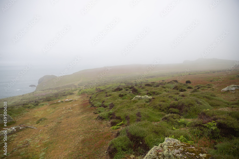 Naklejka premium Coast of skomer island off the Pembrokeshire coast in the fog