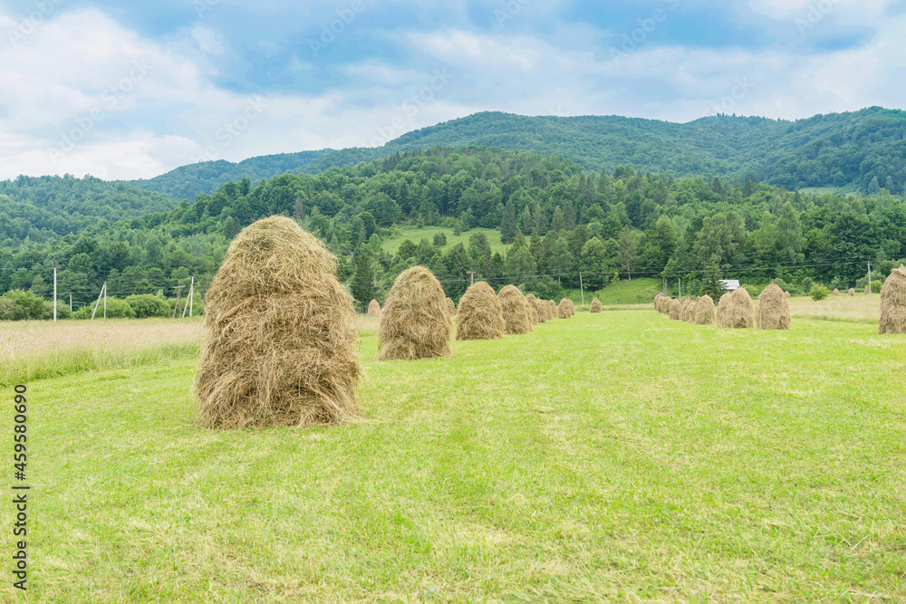 Many haystacks in a mountain village.