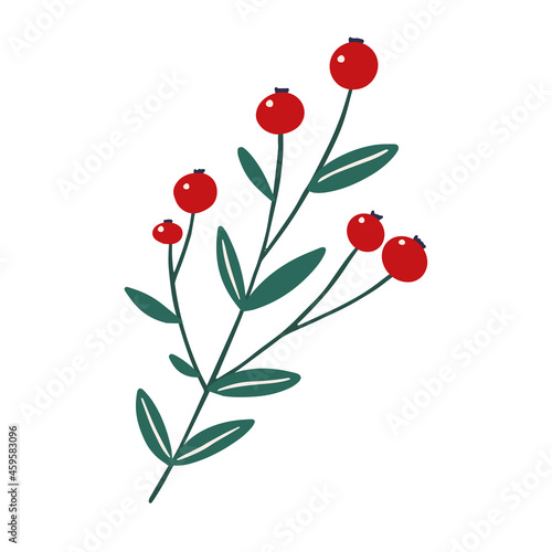 Winter berry floral design element. Festive Christmas clip art. Holly berry branch in simple hand drawn style isolated on white background. Vector illustration.
