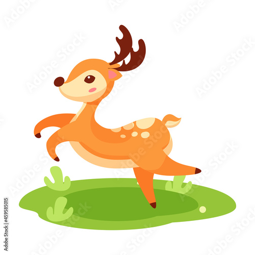 deer cartoon character on green grass © Murzani