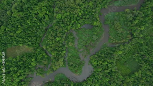 River delta river meander inland dron aerial video shot in floodplain forest and lowlands wetland swamp, quadcopter view flying fly flight show, protected landscape area of Litovelske Pomoravi