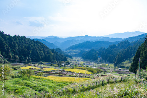 稲刈り後の棚田