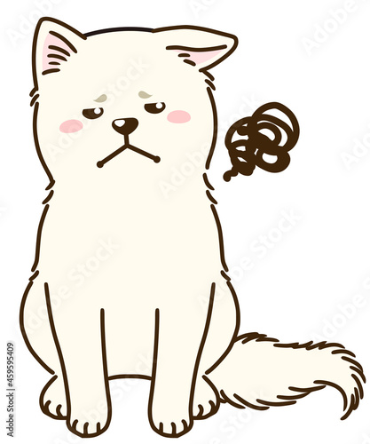 目を逸らす秋田犬（白）