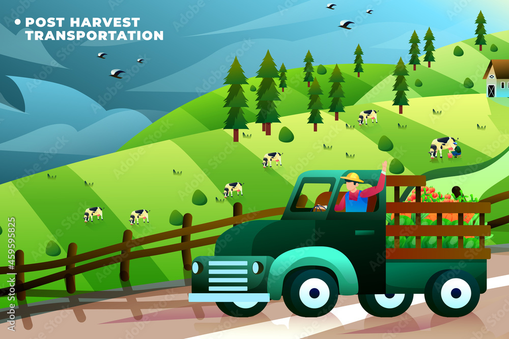 Postharvest Transportation - Vector Illustration Postharvest Transportation - Vector Illustration