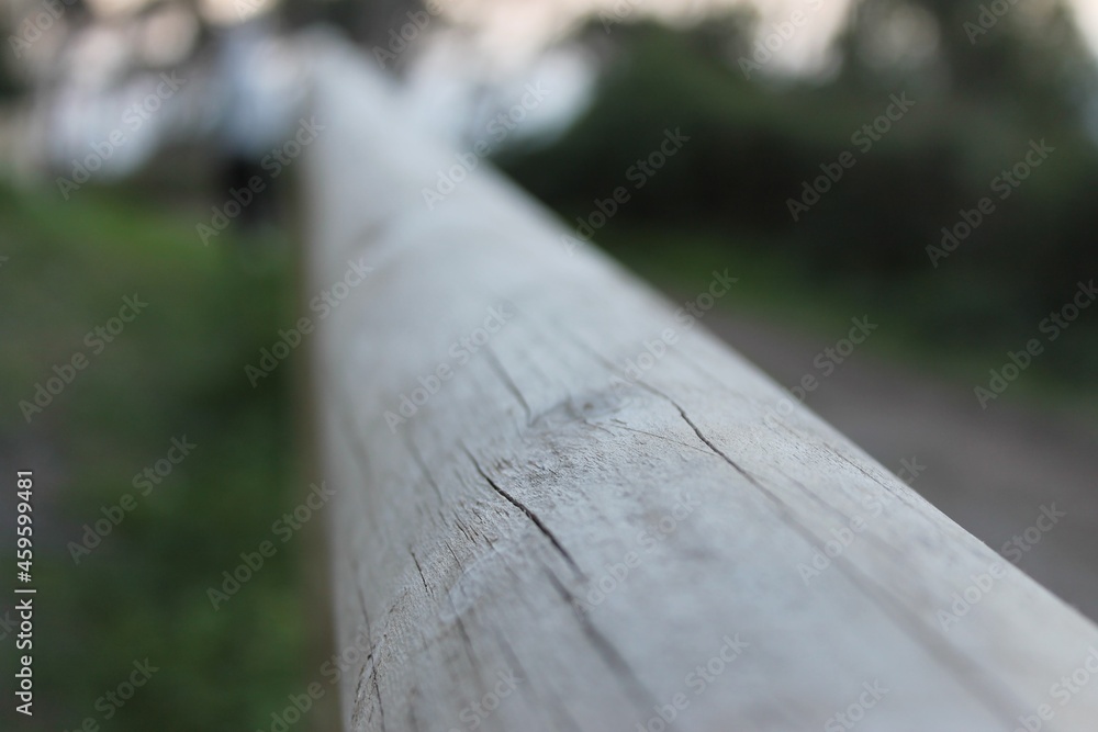 fence in forest
