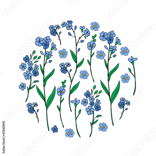Decorative botanical round frame myosotis isolated on white background, Forget-me-not flower backdrop, hand drawn doodle illustration, wild flower, floral design for greeting card, wedding invite
