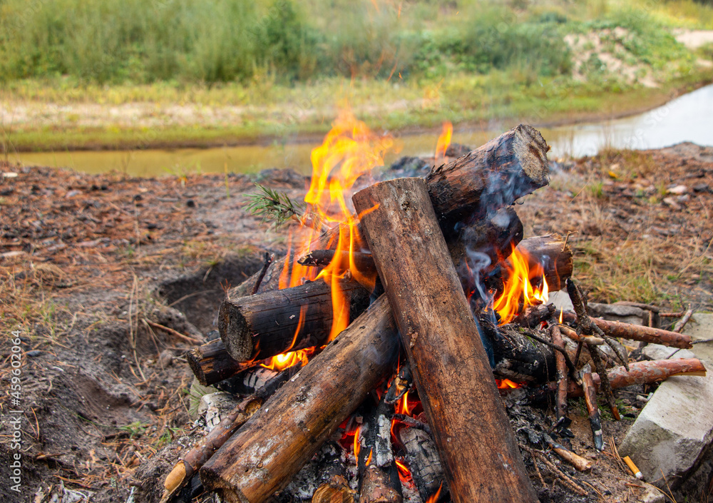 bonfire made of pine sticks and branches is burning with bright orange warm warming flame with shining sparks, in open forest in nature for camping. bonfire made of pine sticks and branches is burning with bright orange warm warming flame with shining sparks, in open forest in nature for camping.