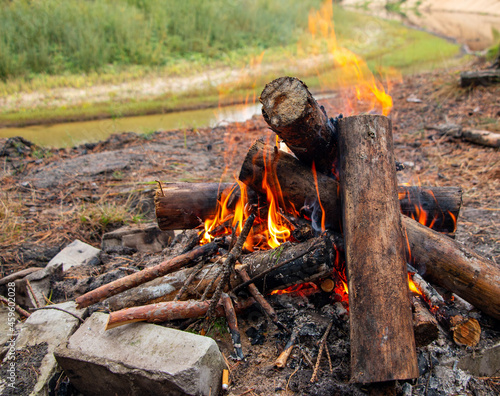 bonfire made of pine sticks and branches is burning with bright orange warm warming flame with shining sparks, in open forest in nature for camping.
