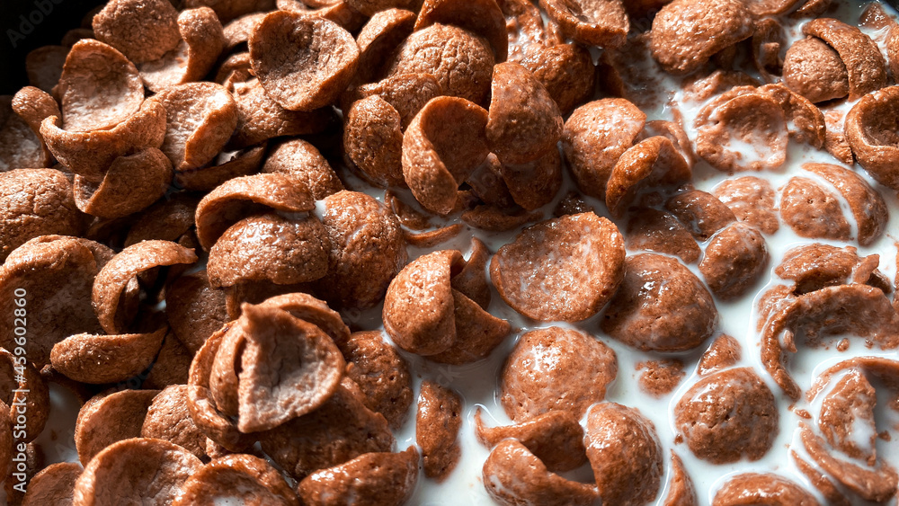 Cocoa cereal in a bowl with milk added. Cocoa cereal in a bowl with milk added.