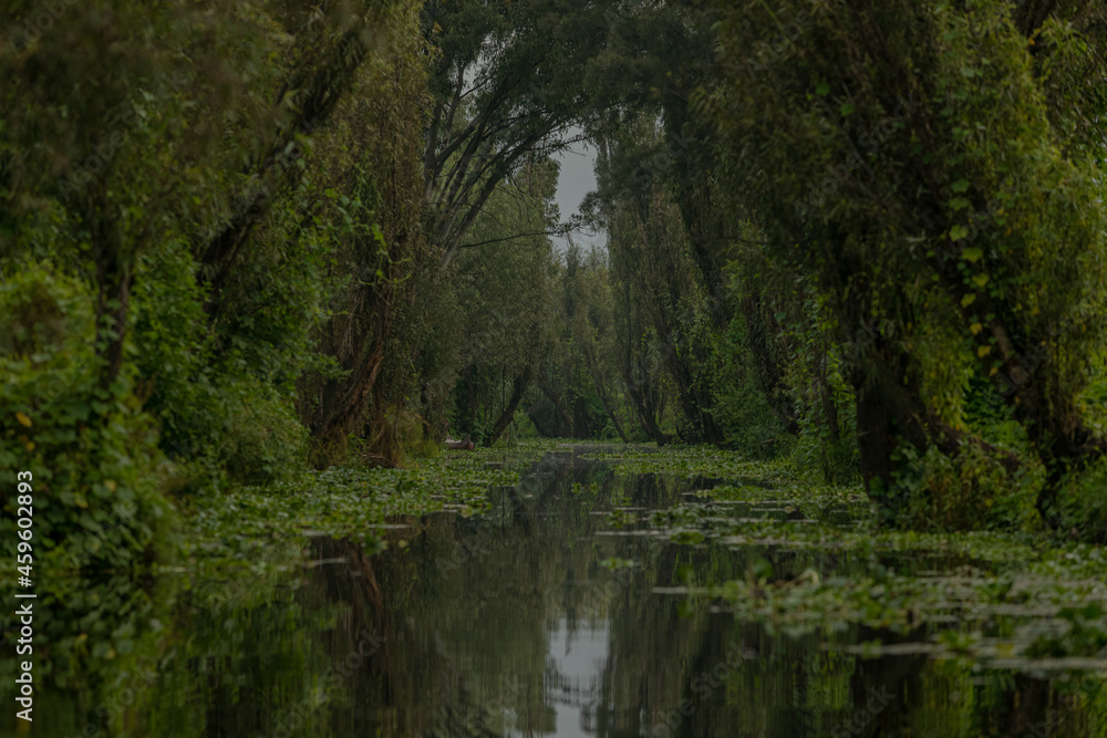 Canal de la virgen Xochimilco