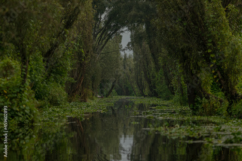 Canal de la virgen Xochimilco