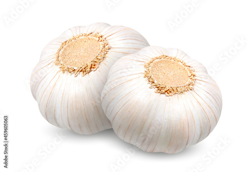 Two heads of garlic.. Realistic 3d Vector illustration isolated on white background.