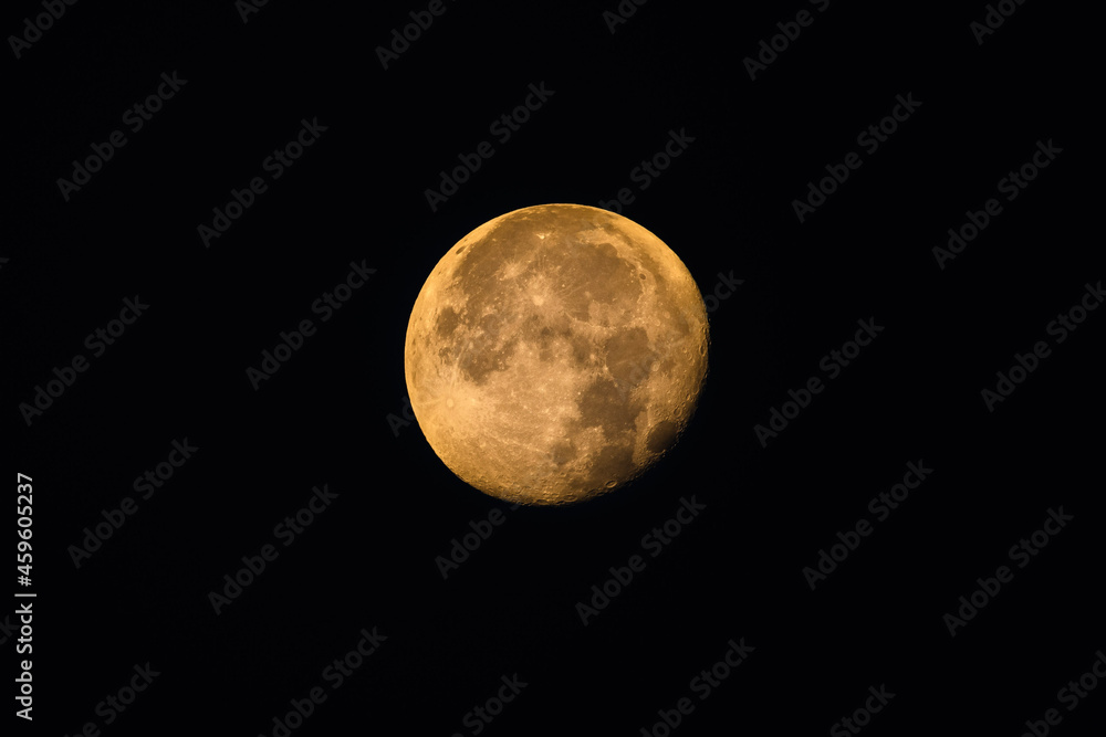 Fototapeta premium full moon in the night sky