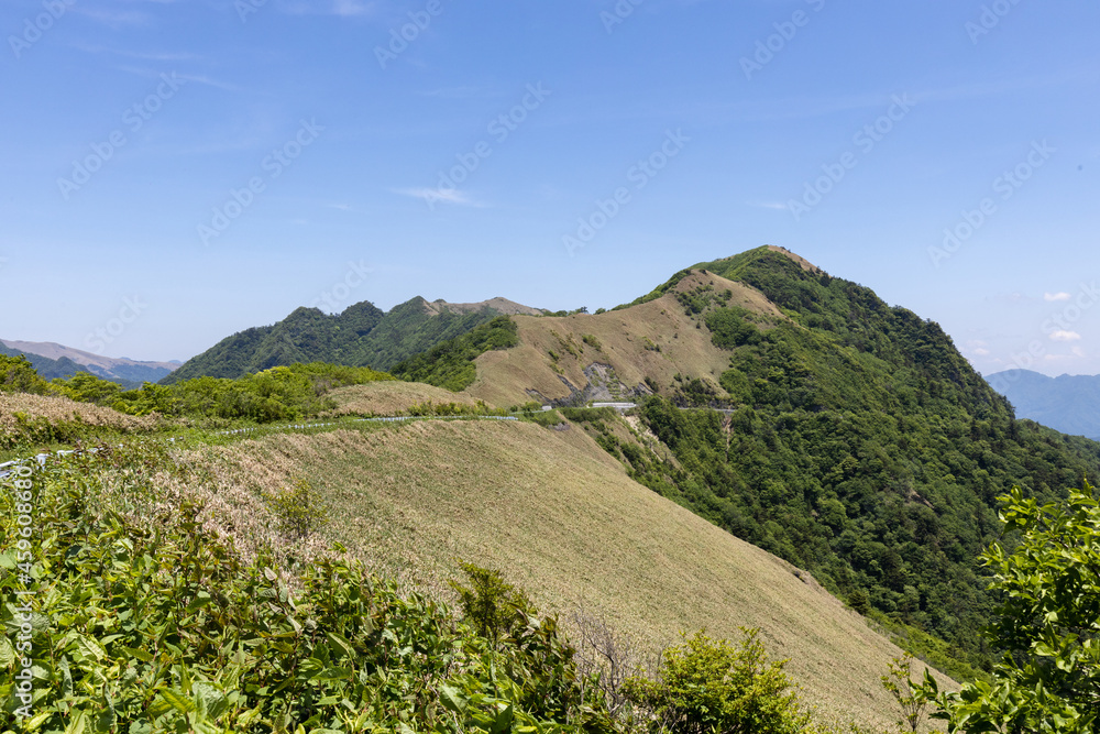 Naklejka premium 瓶ヶ森林道(町道瓶ヶ森線/高知県いの町と愛媛県西条市)