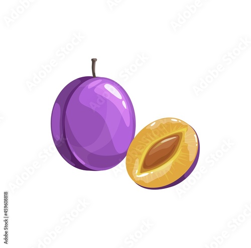Prunes or plum fruit, ripe garden vector plant, organic production. Cartoon juicy natural healthy farm damson whole and half piece with stem and pit isolated design element on white background