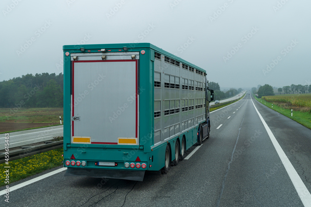 Ein Viehtransporter auf einer deutschen Autobahn