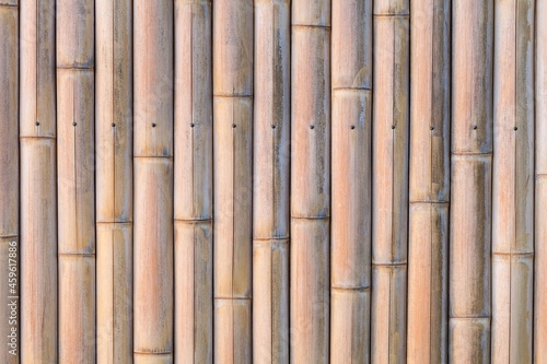 Light Wood Texture