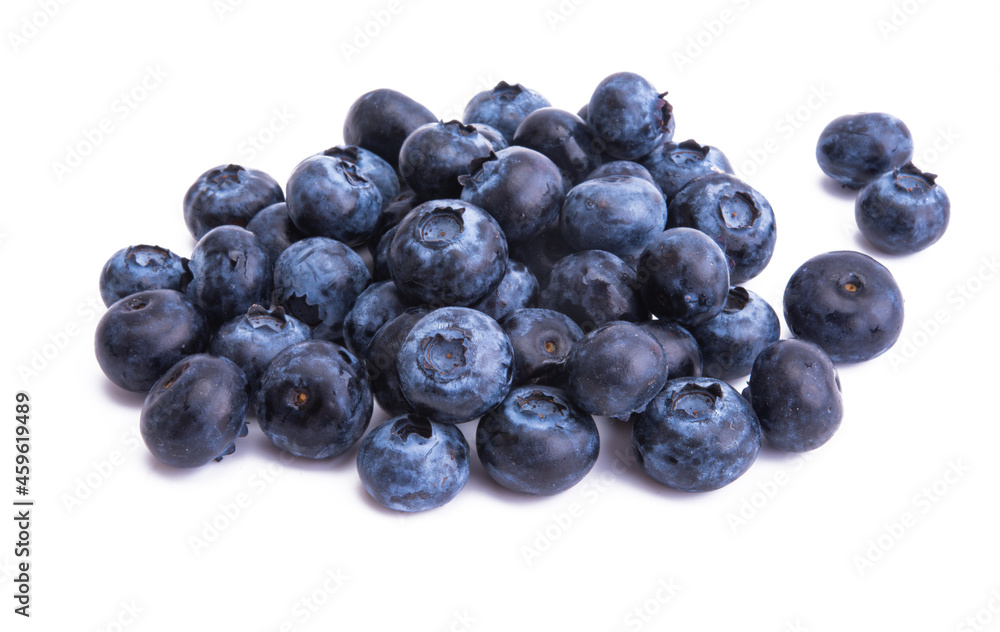 blueberry isolated blueberry isolated