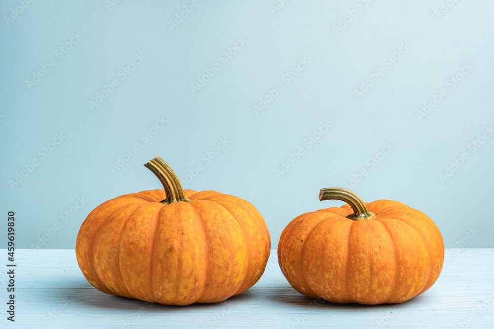 Obraz premium Orange halloween pumpkins with bats, holiday decoration