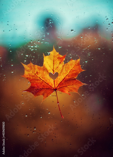A beautiful maple leaf with a heart inside on a wet window with rain drops. Autumn mood. Valentine's Day