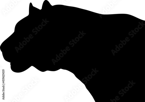 Black silhouette of a tiger's head, isolated on a white background. The silhouette of a black tiger standing in a calm pose.