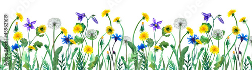 Horizontal endless seamless floral border in botanical watercolor illustration isolated on white background. Dandelion, cornflower, aquilegia flowers pattern with green stems and leaves for decoration