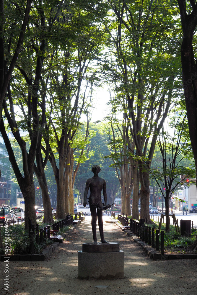 Fototapeta premium 仙台の定禅寺通りケヤキ並木 宮城県観光