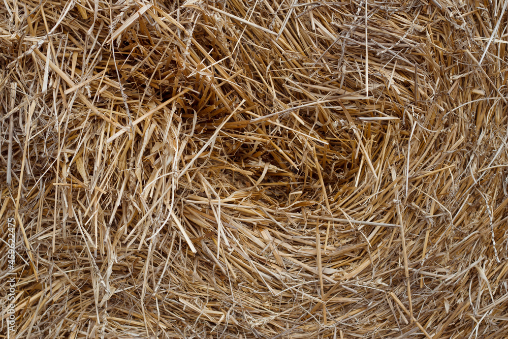 Straw bale textured background with natural light. Straw bale textured background with natural light.