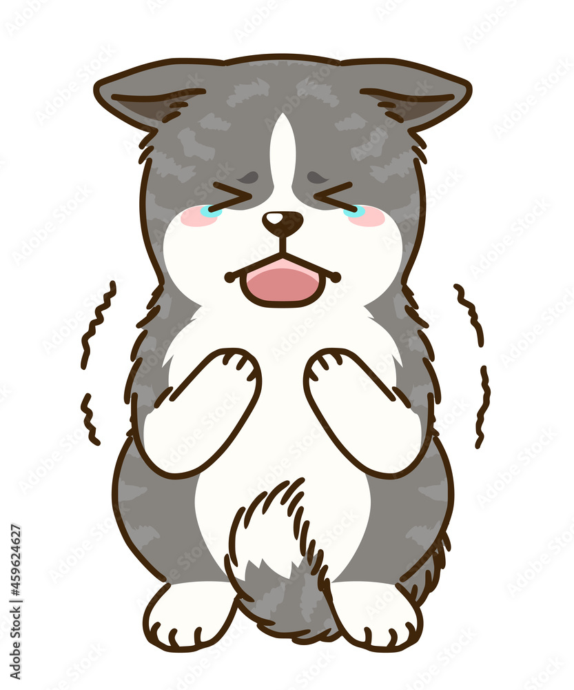 怯える秋田犬(虎毛) 怯える秋田犬(虎毛)