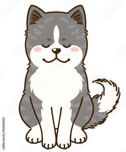 お辞儀する秋田犬（虎毛）