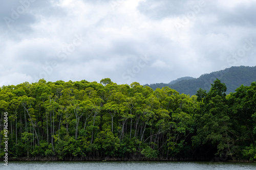 Daintree River, Queensland, Australia. River with tall green trees and mangroves and grey sky.