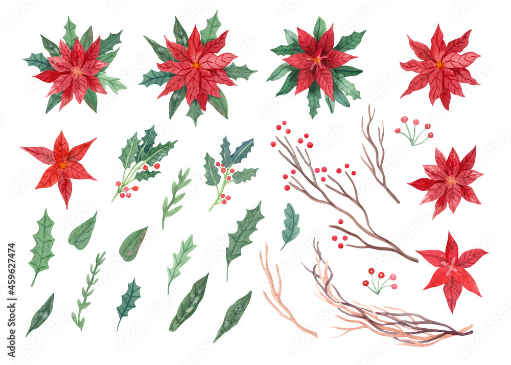 Watercolor set with poinsettia flowers,  tree branches and leaves of holly with berries. Christmas plants hand painted illustration. Great for xmas card design.