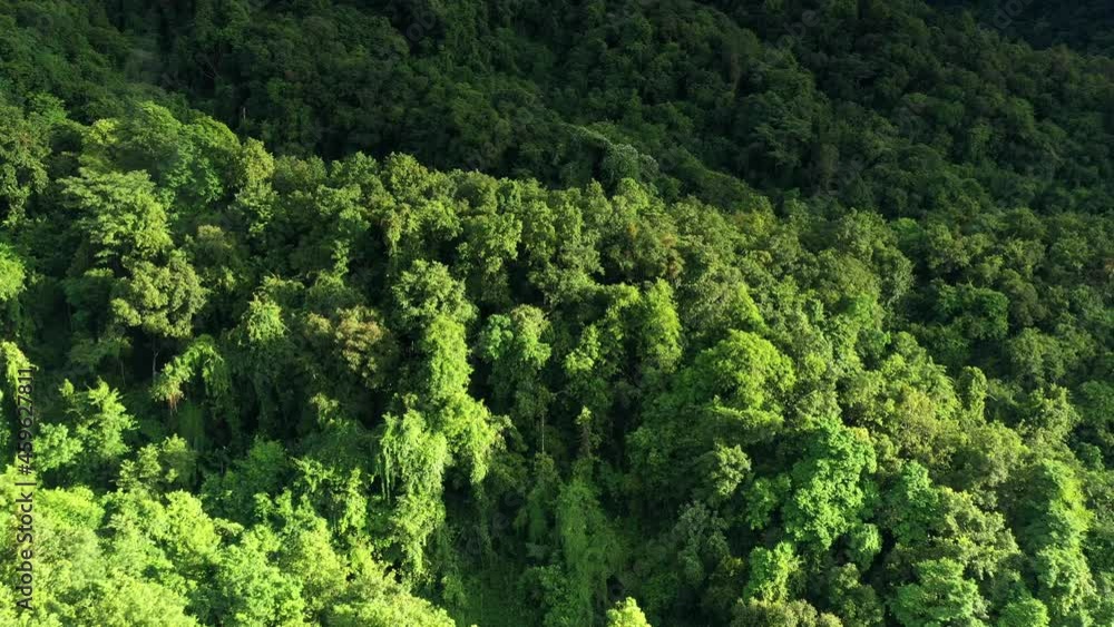 During the rainy season in northern, an aerial view of the forest amid the beautiful rain covering the tropical rainforest mountains. Nan, doi phuka. Thailand. Thailand's lush rainforests. 4k. During the rainy season in northern, an aerial view of the forest amid the beautiful rain covering the tropical rainforest mountains. Nan, doi phuka. Thailand. Thailand's lush rainforests. 4k.