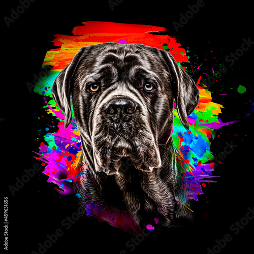 portrait of a dog color art