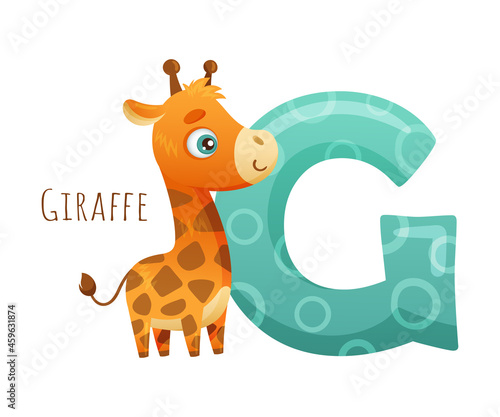 G letter and cute giraffe baby animal. Zoo alphabet for children education, home or kindergarten decor cartoon vector illustration