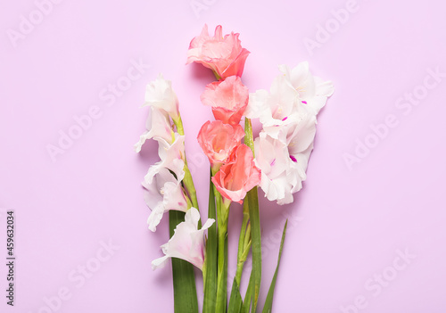 Gorgeous gladiolus flowers on purple background