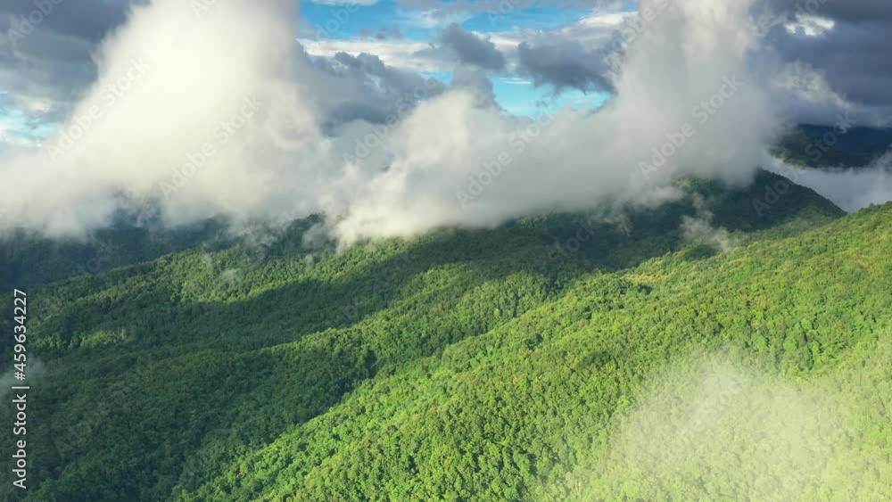 Aerial view of tropical rainforest mountains with beautiful trees that remain densely forested There were white clouds on top of the mountain. Thailand's northern province