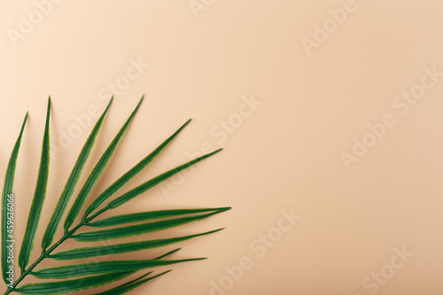 Creative elegant beige background with palm leaf. Flat lay with palm leaf in diagonal on beige background with space for text. Concept of abstract modern tropical background