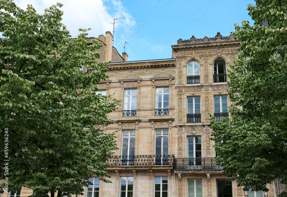 Fototapeta premium France - Bordeaux - Historical Center facade and trees