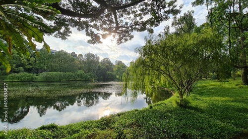 Fototapeta Naklejka Na Ścianę i Meble -  View of a lake by the forest