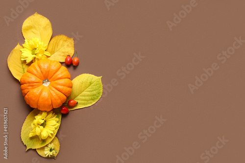 Autumn composition with pumpkin and flowers on color background