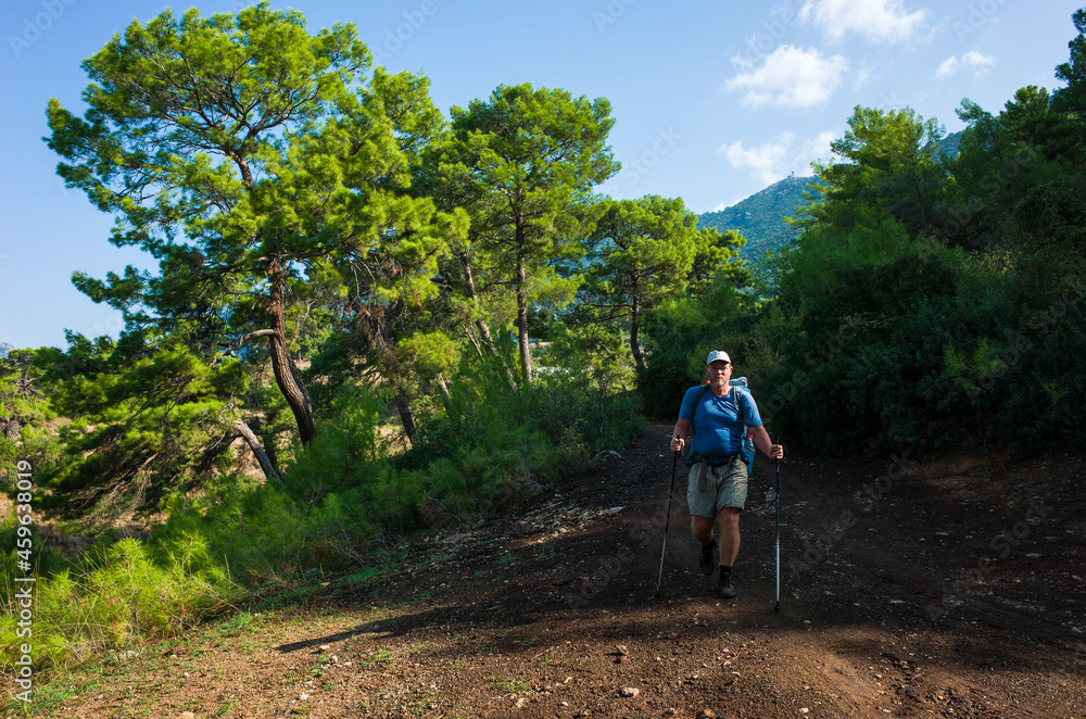 Hiking on Lycian way trail route from Karaoz to Adrasan. Man is trekking on dirt road in coniferous forest of Mediterranean region, Eco tourism in Turkey