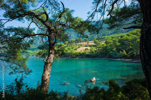 Picturesque turquoise water of Mediterranean sea photo framed in pine trees  Nature of Turkey