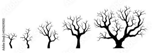 Naked tree silhouette set. Winter small and big trees with bare branches. Growth process. Vector illustration.