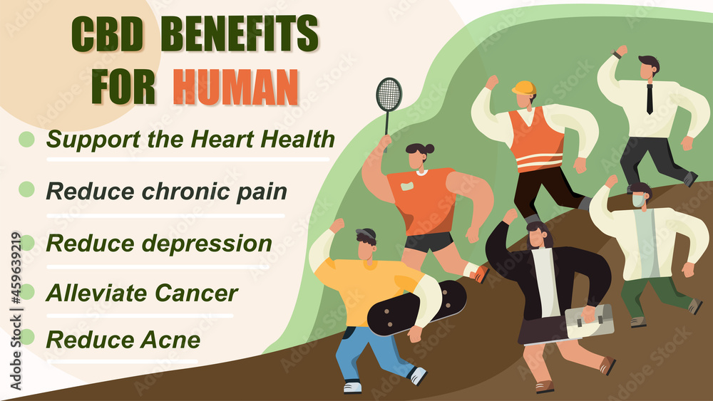 CBD infographic, explainer. Human benefit. CBD infographic, explainer. Human benefit.