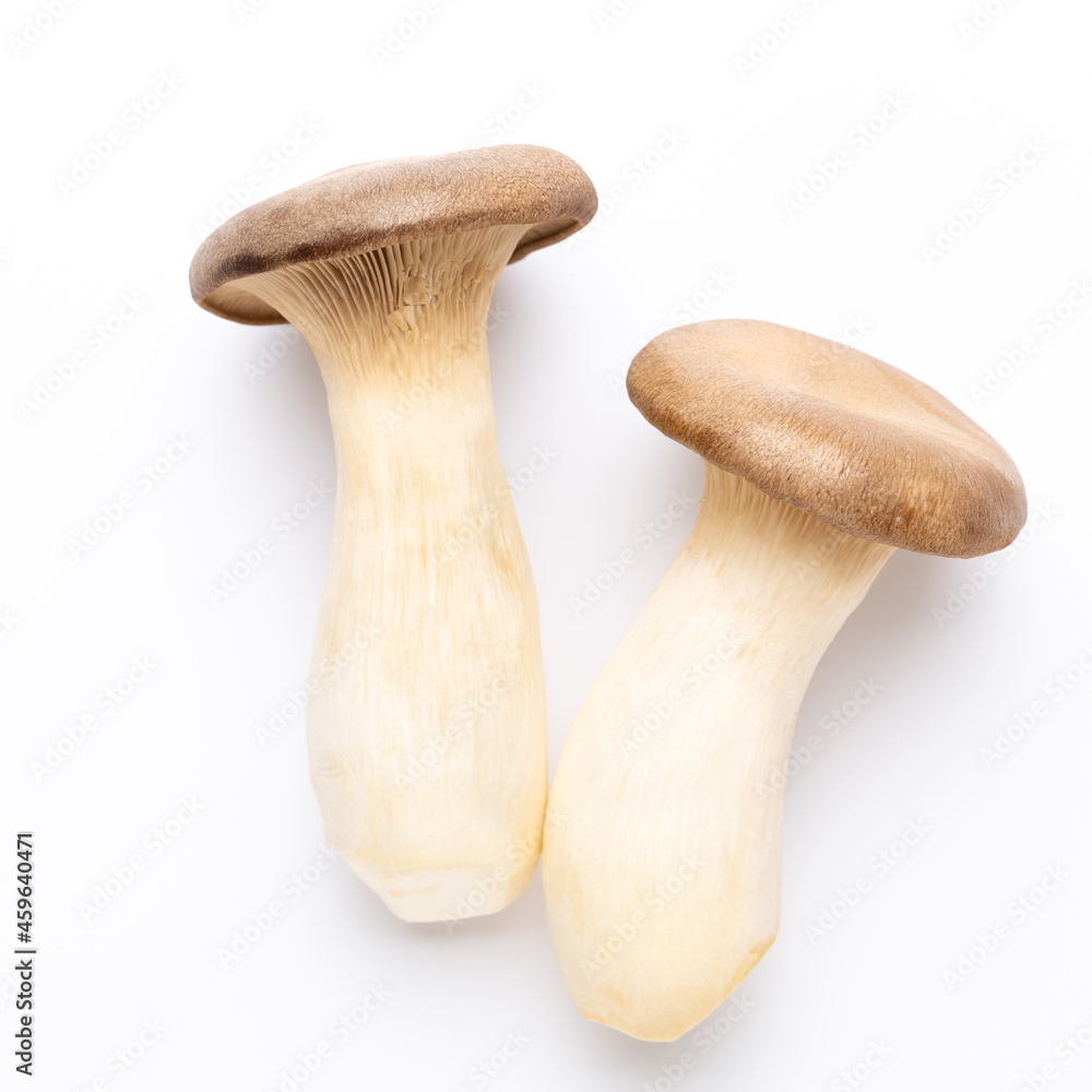 King oyster mushroom on white background. King oyster mushroom on white background.