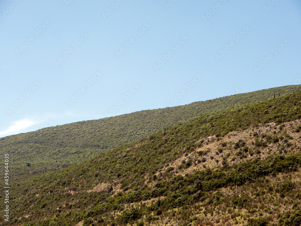 Rocky mountain side with green bushes and trees under blue sky summer landscape side view