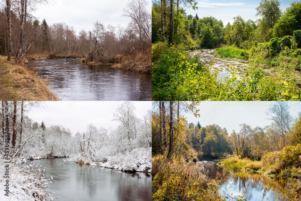 Beautiful collage of 4 seasons, different pictures but same place of an ...